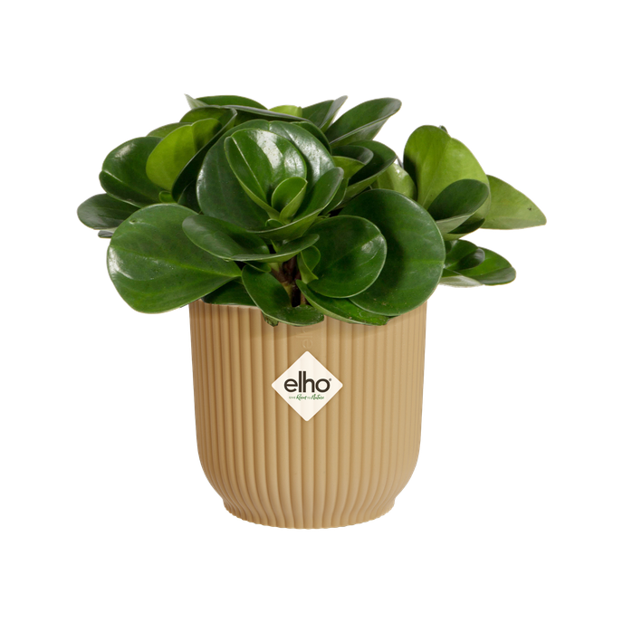 vibes fold rond mini 11cm botergeel